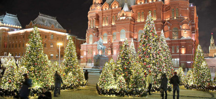Многодневный школьный тур «Новогодняя сказка Москвы» из Новосибирска
