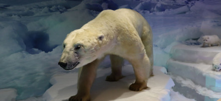 Школьная экскурсия в музей «Ледникового периода» в Москве