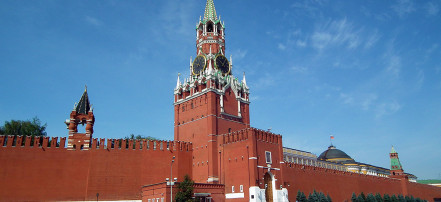 Экскурсионная прогулка по территории Московского Кремля: Фото 1