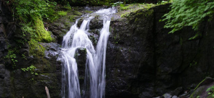 Индивидуальная экскурсия к Кравцовским водопадам + посещение горячего бассейна: Фото 9