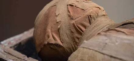 Обложка: Групповая пешая экскурсия «Охота на мумий в Эрмитаже»