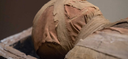 Групповая пешая экскурсия «Охота на мумий в Эрмитаже»