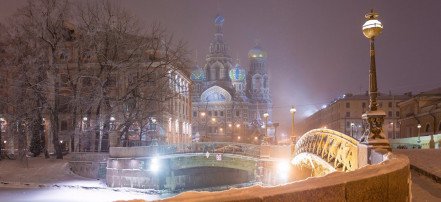 Индивидуальная экскурсия по романтичному ночному Петербургу на автомобиле: Фото 5