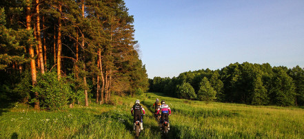 Тур на мотоциклах в сопровождении опытного инструктора в Коломне: Фото 4