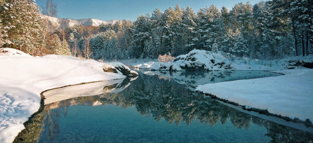 Многодневный тур «Зима на Алтае» на 5 дней