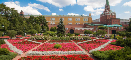 Обзорная экскурсия по Москве на микроавтобусе: Фото 2