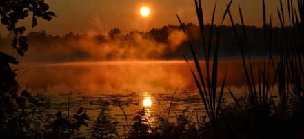 Индивидуальная пригородная экскурсия к озеру Светлояр из Нижнего Новгорода на автомобиле: Фото 2