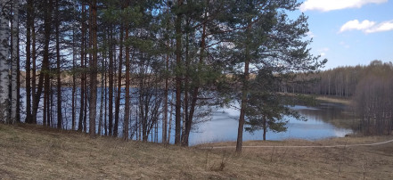 Индивидуальная пригородная экскурсия к озеру Светлояр из Нижнего Новгорода на автомобиле: Фото 3